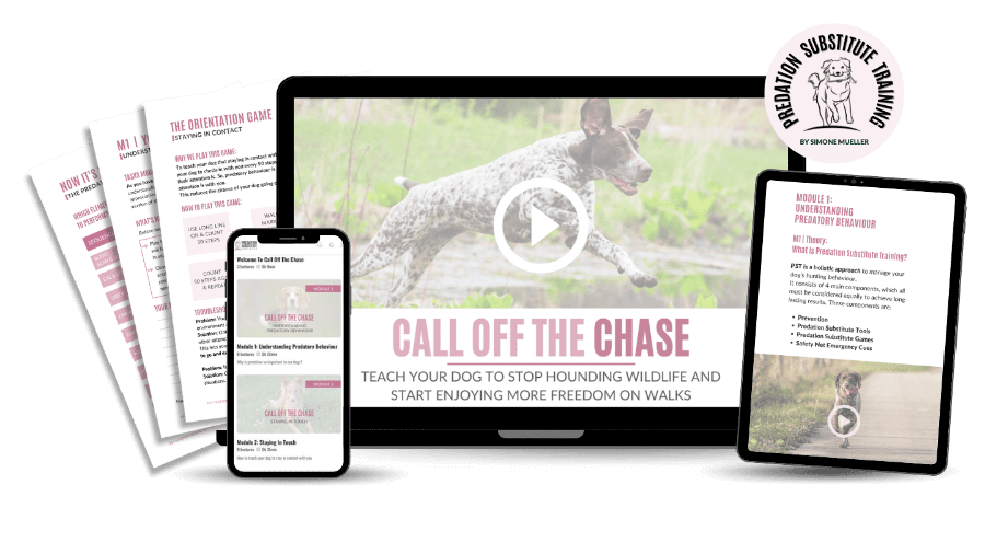 call-off-the-chase-online-course Call off the chase online course