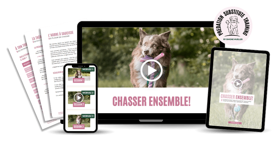 French HT Mockup Chasser Ensemble Call off the chase online course