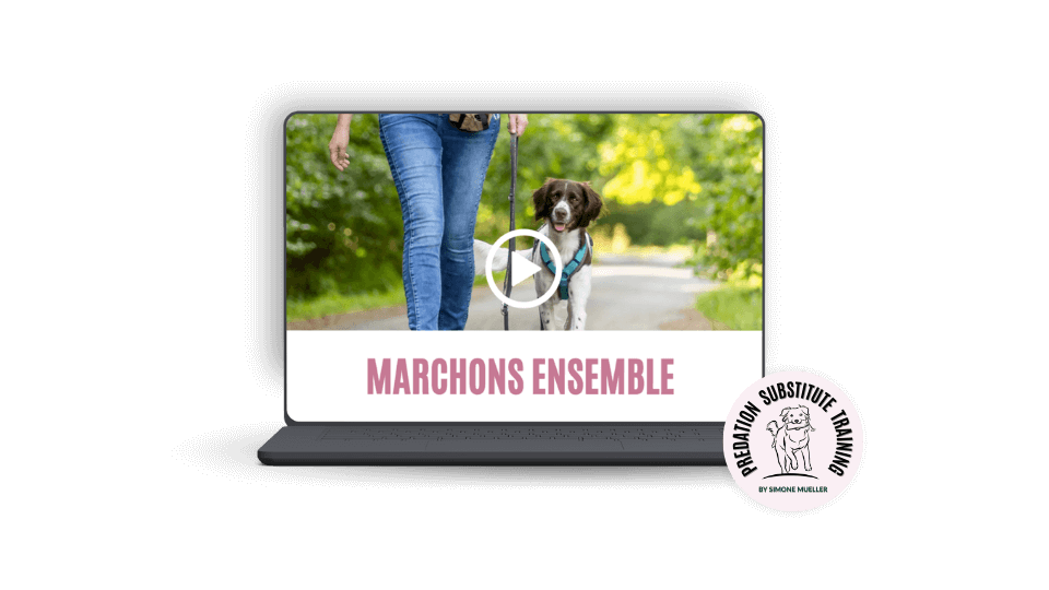French Mockup Walking Together (1) Call off the chase online course