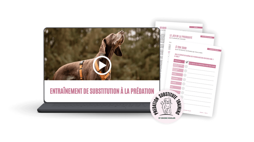 French PSTP Mockup