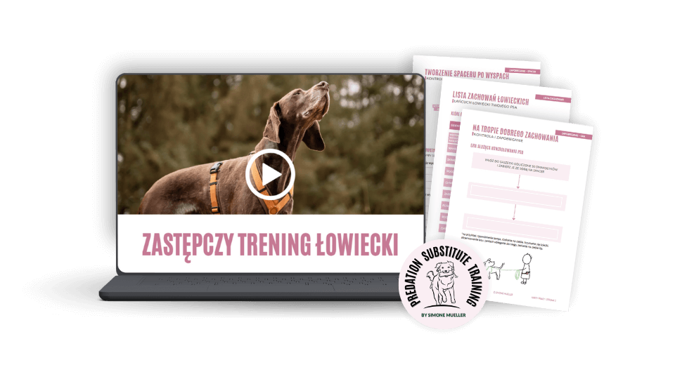 Polish PSTP Webinar ZTL Mockup
