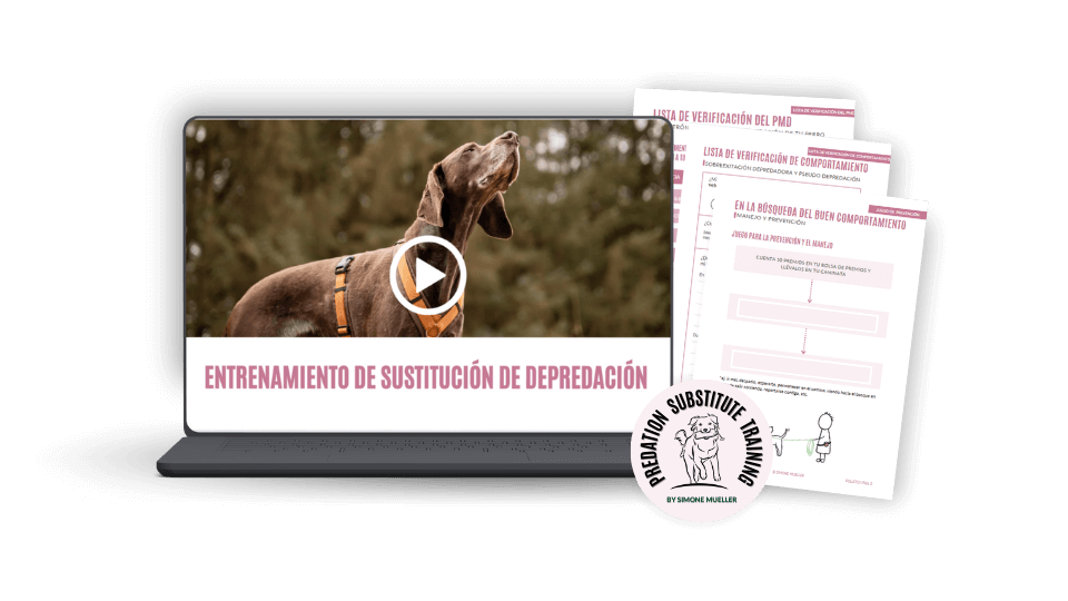 Spanish Webinar PSTP Mockup