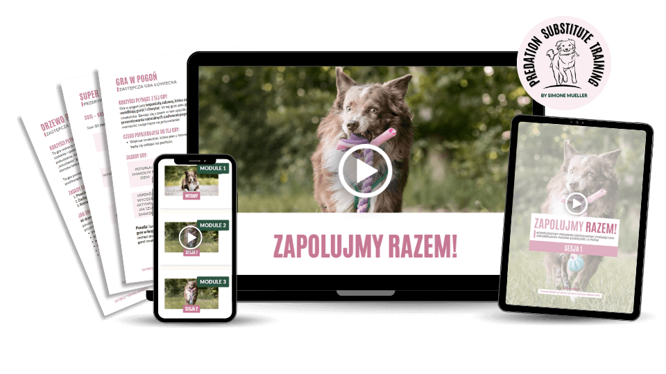 Zapolujmy Razem Mockup