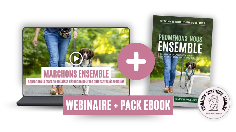 Call off the chase online course